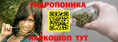 гидропоника Коммунар