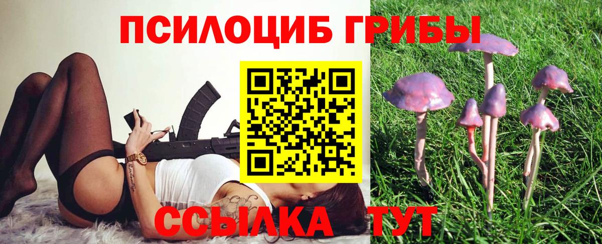 Псилоцибиновые грибы Magic Shrooms Дербент