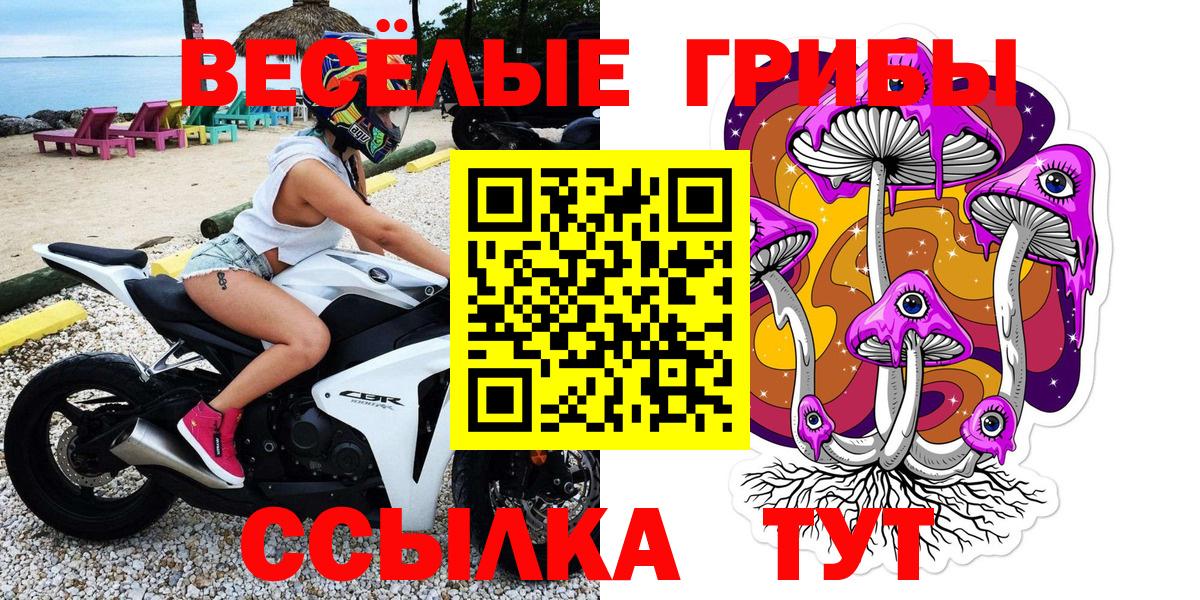 Псилоцибиновые грибы прущие грибы  Вход с VPN  Дербент 